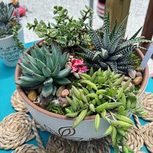 Load image into Gallery viewer, Erica Private Party (GNO: Girls just want to have plants!) 11/15/25