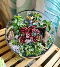 Load image into Gallery viewer, Erica Private Party (GNO: Girls just want to have plants!) 11/15/25