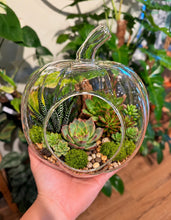 Load image into Gallery viewer, Glass Pumpkin Terrarium Workshop