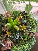 Load image into Gallery viewer, Erica Private Party (GNO: Girls just want to have plants!) 11/15/25