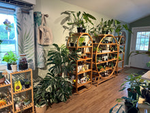 Load image into Gallery viewer, Erica Private Party (GNO: Girls just want to have plants!) 11/15/25