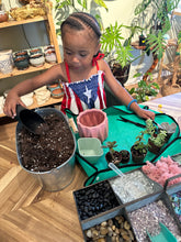 Load image into Gallery viewer, Book a DIY