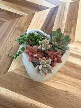 Load image into Gallery viewer, Erica Private Party (GNO: Girls just want to have plants!) 11/15/25