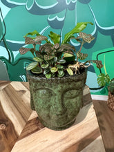 Load image into Gallery viewer, Book a DIY