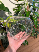 Load image into Gallery viewer, A hand holding a clear glass pumpkin-shaped terrarium with a plant inside, surrounded by various plants and decoration items.