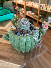 Load image into Gallery viewer, Erica Private Party (GNO: Girls just want to have plants!) 11/15/25