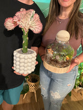 Load image into Gallery viewer, Book a DIY