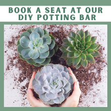 Load image into Gallery viewer, Book a DIY