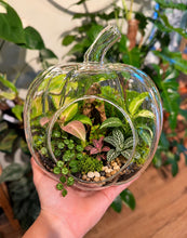 Load image into Gallery viewer, Glass Pumpkin Terrarium Workshop
