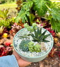 Load image into Gallery viewer, DIY Potting Bar Appointment
