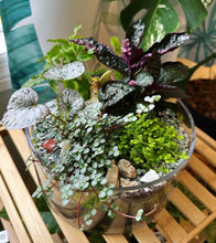 Load image into Gallery viewer, Lakes Park &amp; Recreation Potting Bar 4/11/25
