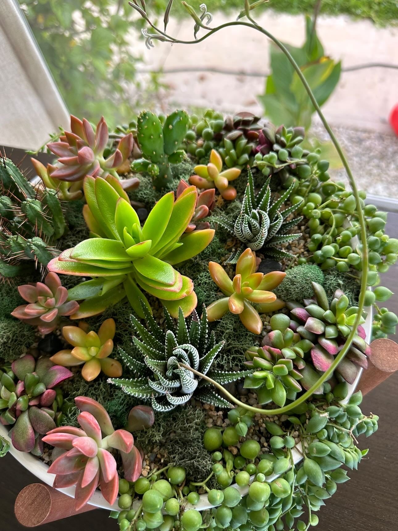 sincerely succulents potting bar Reserve your Potting Bar Seat – Sincerely Succulents