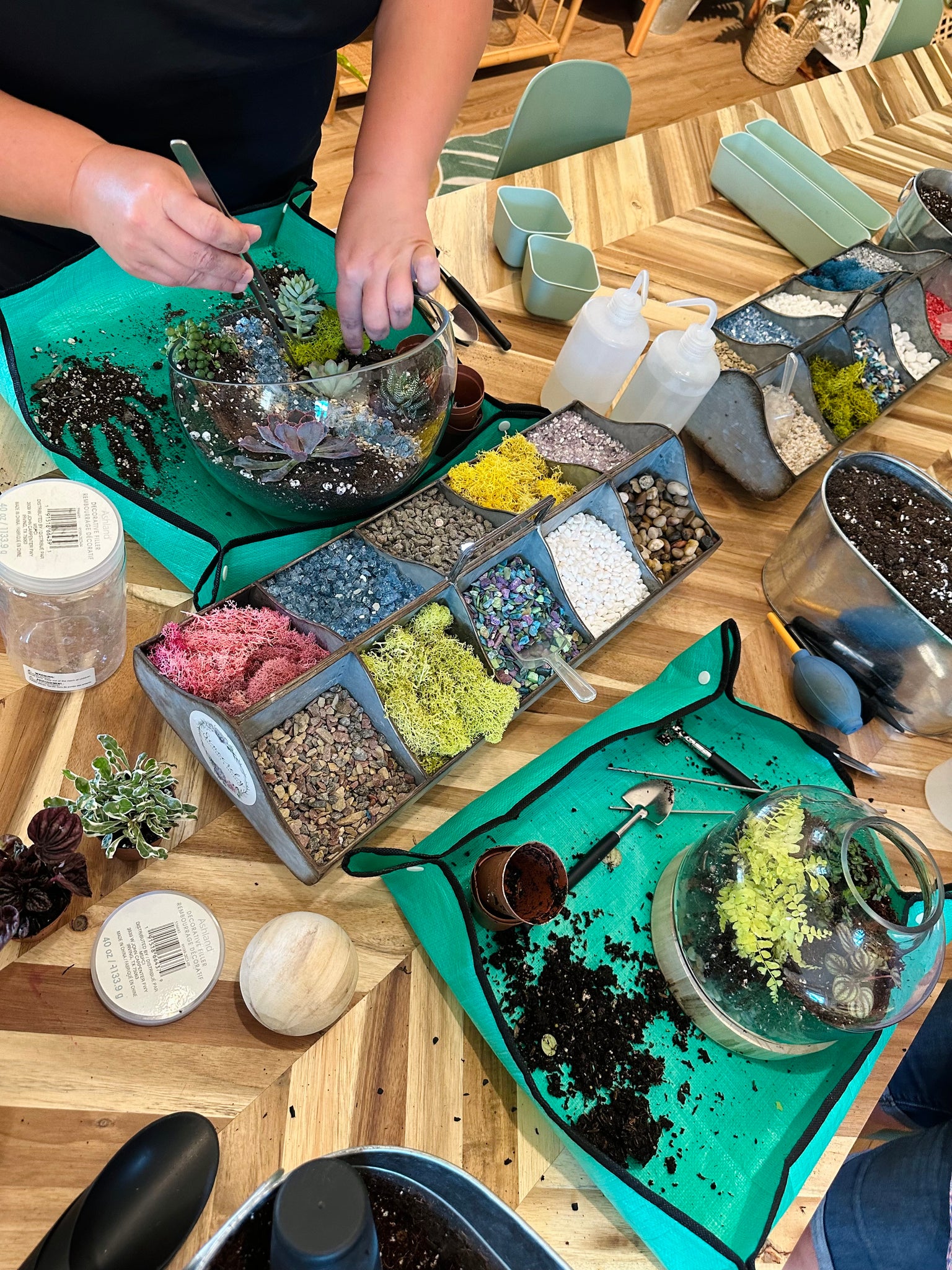 sincerely succulents potting bar Reserve your Potting Bar Seat – Sincerely Succulents