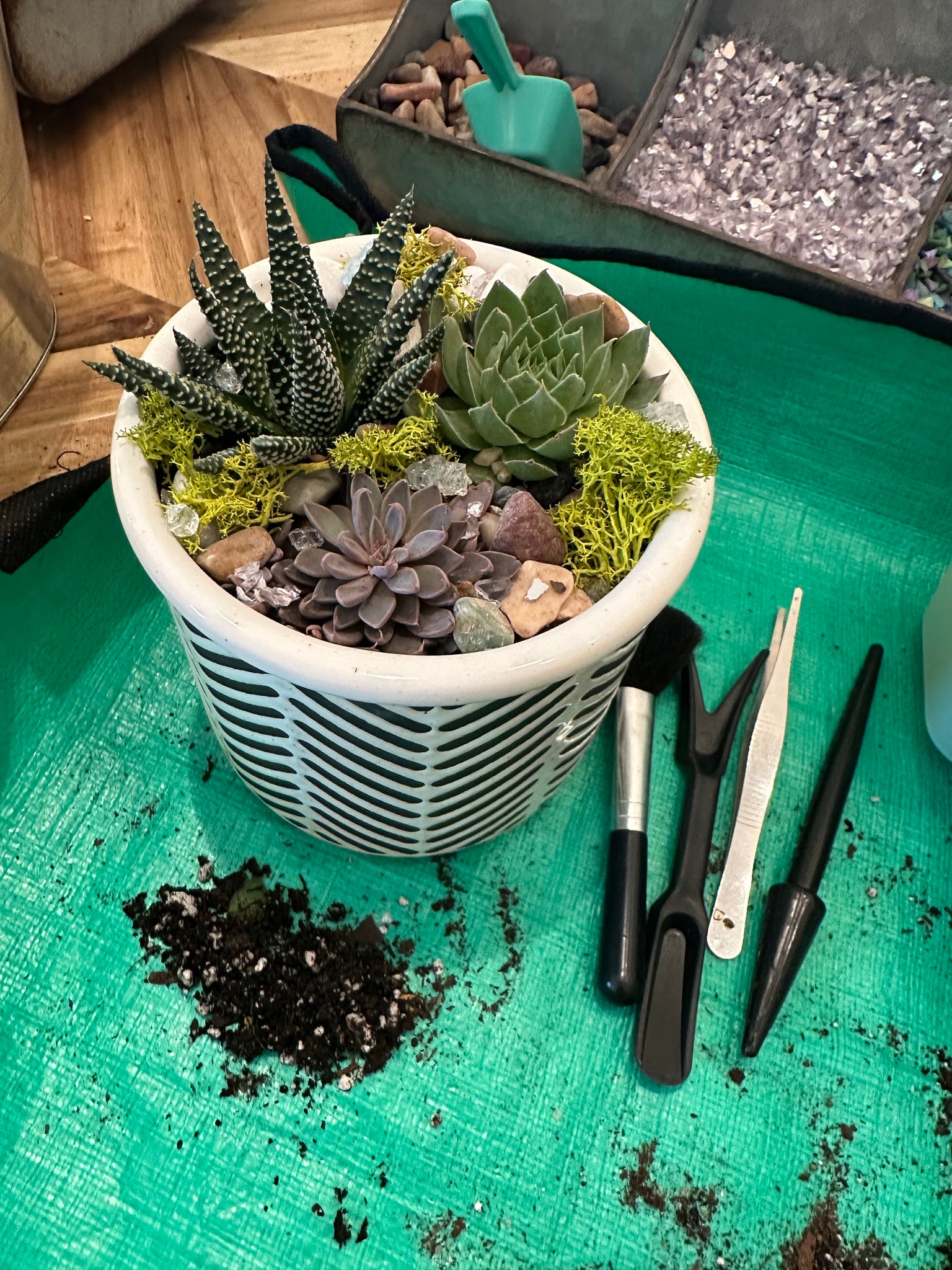 sincerely succulents potting bar Reserve your Potting Bar Seat – Sincerely Succulents