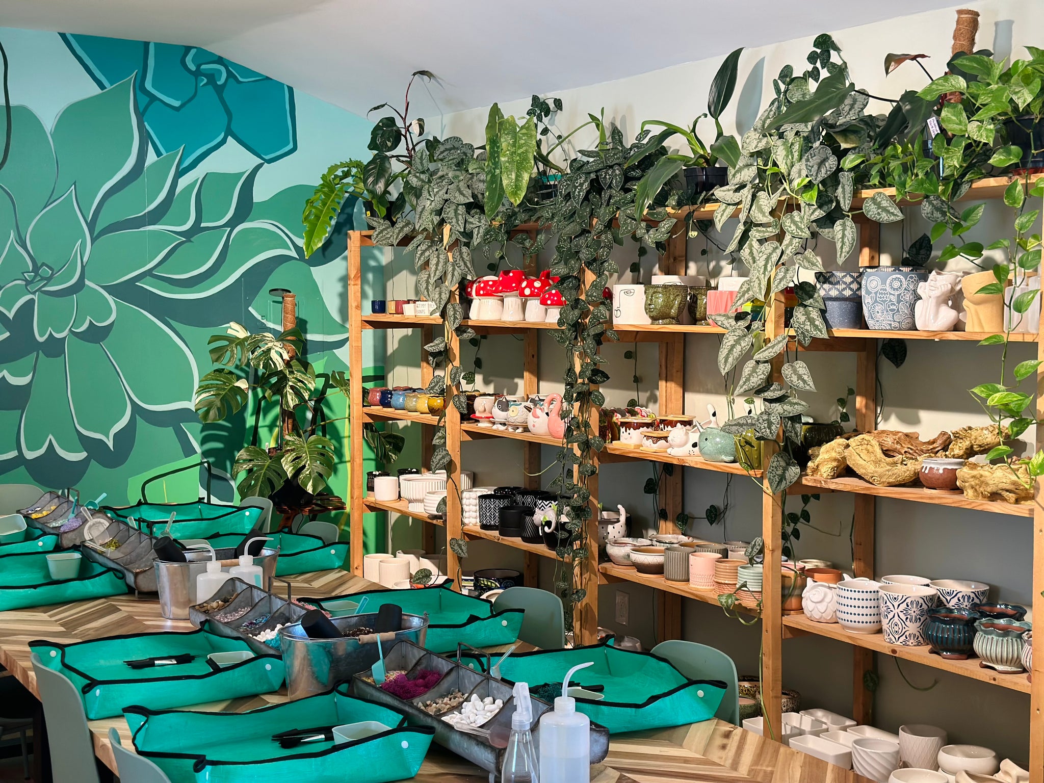Reserve your Potting Bar Seat – Sincerely Succulents