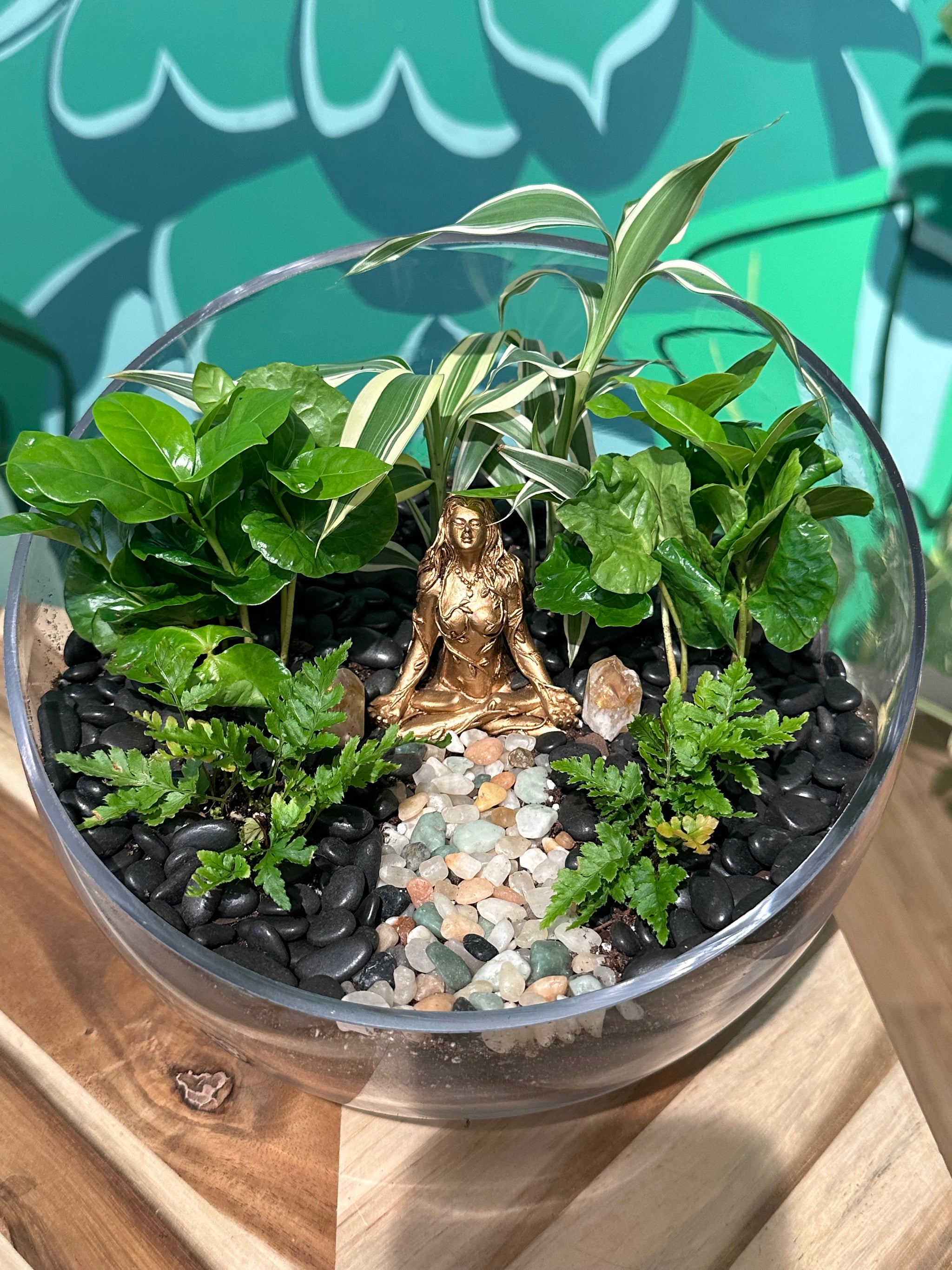 sincerely succulents potting bar Reserve your Potting Bar Seat – Sincerely Succulents