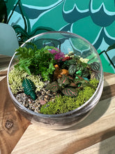 Load image into Gallery viewer, DIY Potting Bar Appointment
