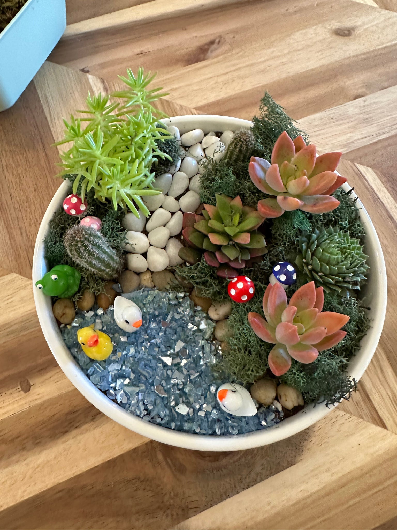 succulent potting bar near me Reserve your Potting Bar Seat – Sincerely Succulents