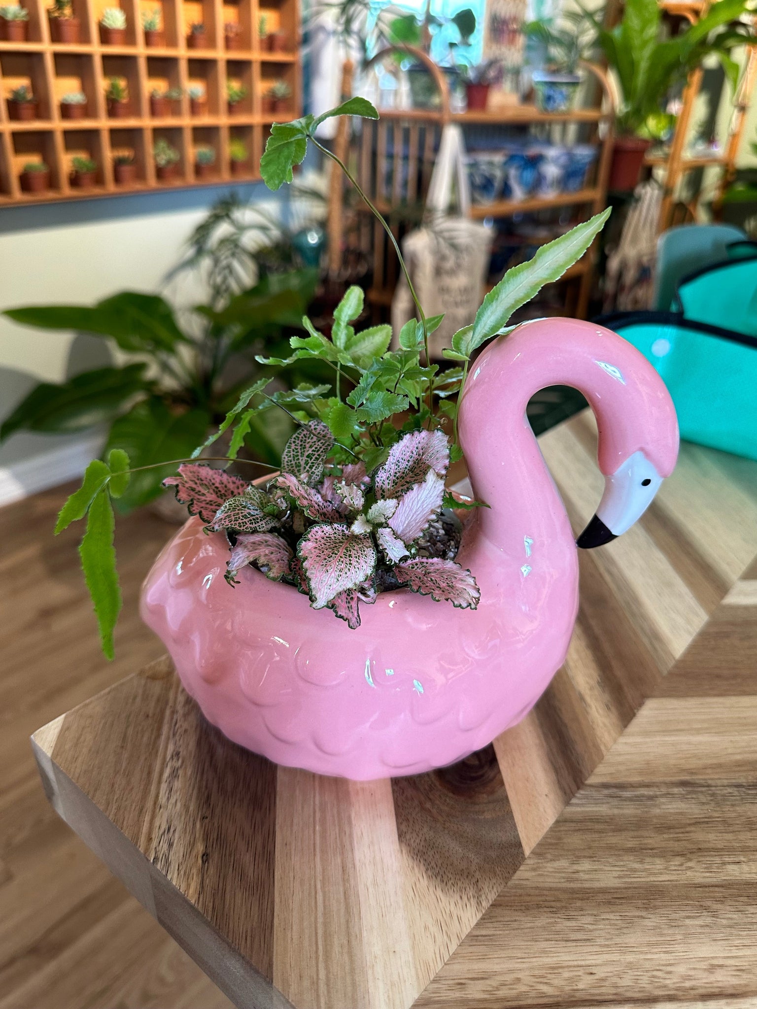 sincerely succulents potting bar Reserve your Potting Bar Seat – Sincerely Succulents